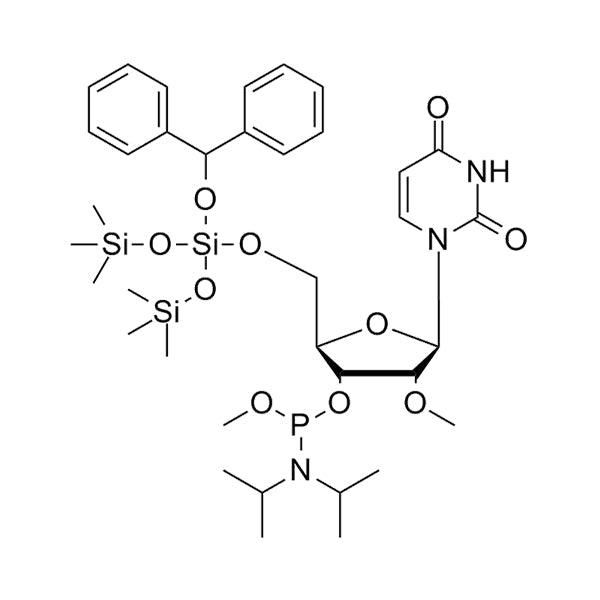 5'-BzH-2'-OMe-Ur-3'-Methoxyphosphoramidite