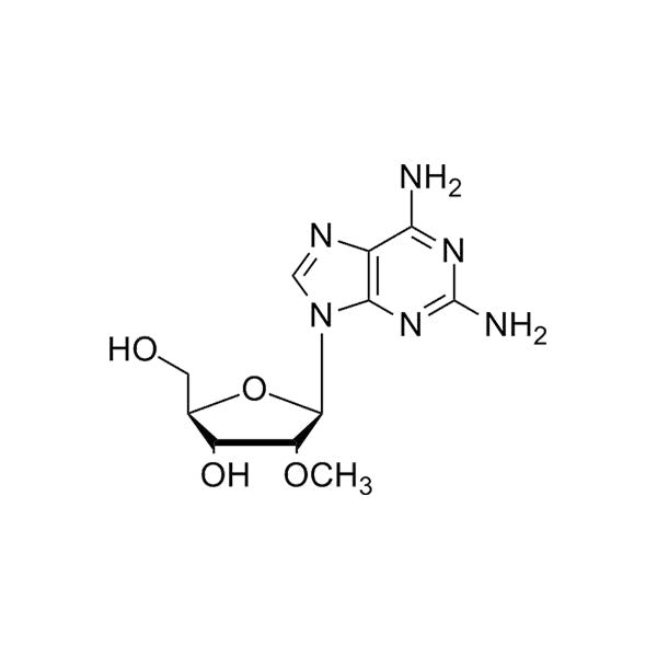 2-NH2-2'-O-Me-Ar