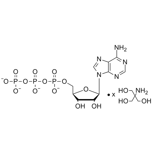 ATP Solution (200mM) for In Vitro Transcription (IVT) of mRNA – Hongene ...