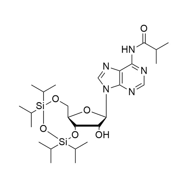 N6-iBu-3',5'-TIPDS-Ar