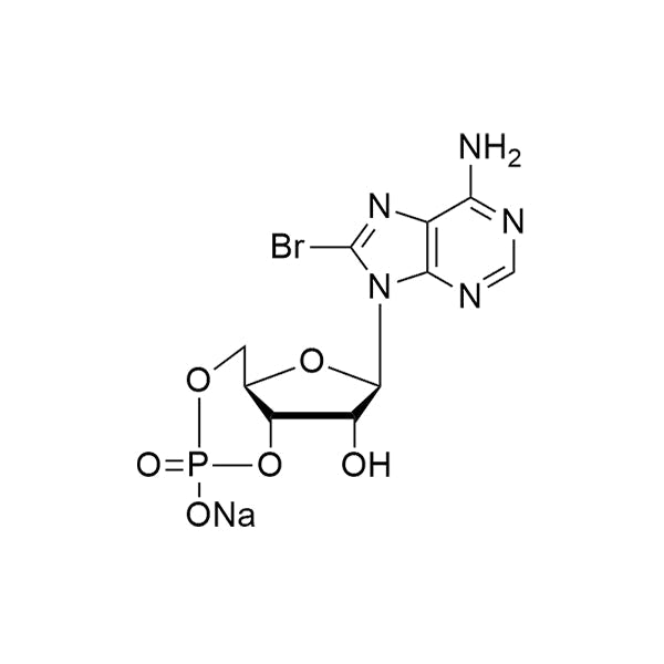 8-Br-3',5'-cyclo-AMP·Na