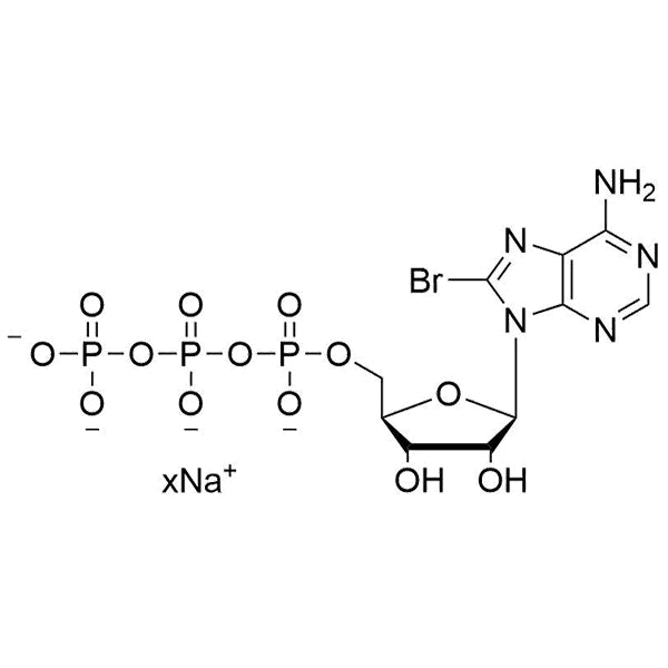 8-Br-ATP, 100 mM Sodium Salt Solution