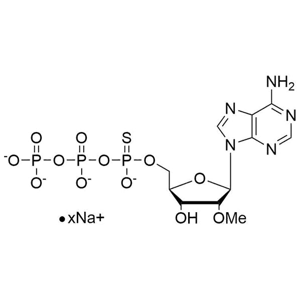 2'-OMe-ATP-α-S, 100mM Sodium Salt Solution