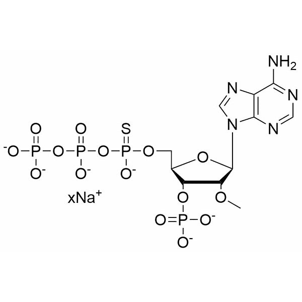 2'-OMe-3'-MP-5'-O-(α-Thio)-ATP, 40±5 mM sodium salt solution