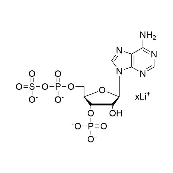 Adenosine-3'-phosphate-5'-phosphosulfate, Lithium Salt
