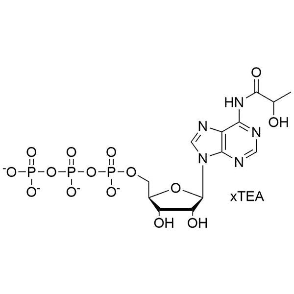 N6-lactoyl-ATP, 50 mM TEA Salt Solution