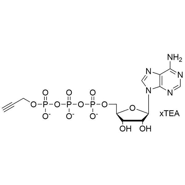 γ-(Propargyl)-ATP, 100mM Sodium Salt Solution