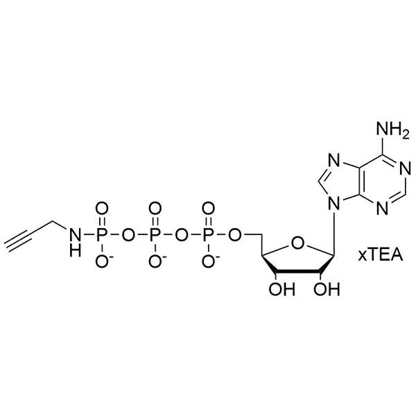 γ-[(Propargyl)-imido]-ATP, 100mM Sodium Salt Solution