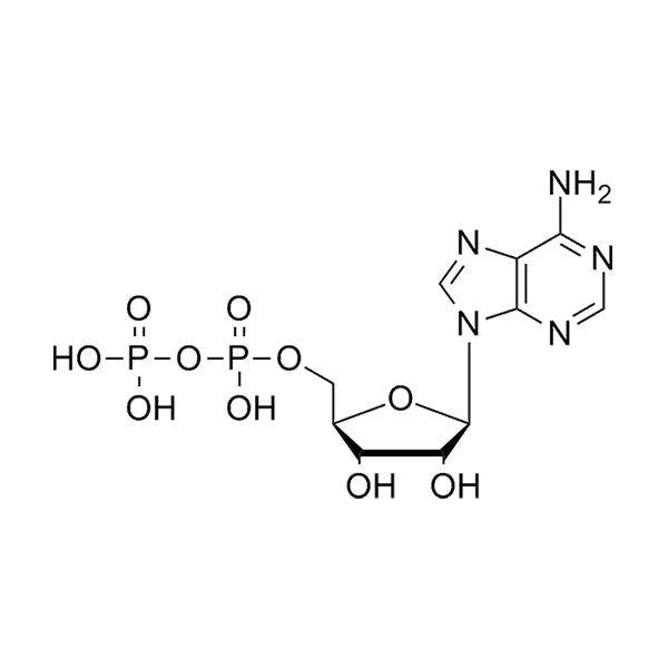 5'-ADP·H2