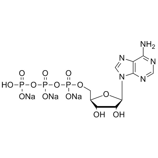 ATP 100mM solution
