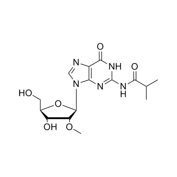 N2-iBu-2'-O-Me-Gr