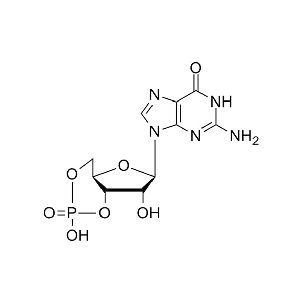 3',5'-cGMP