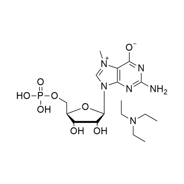 N7-Me-GMP·TEA salt