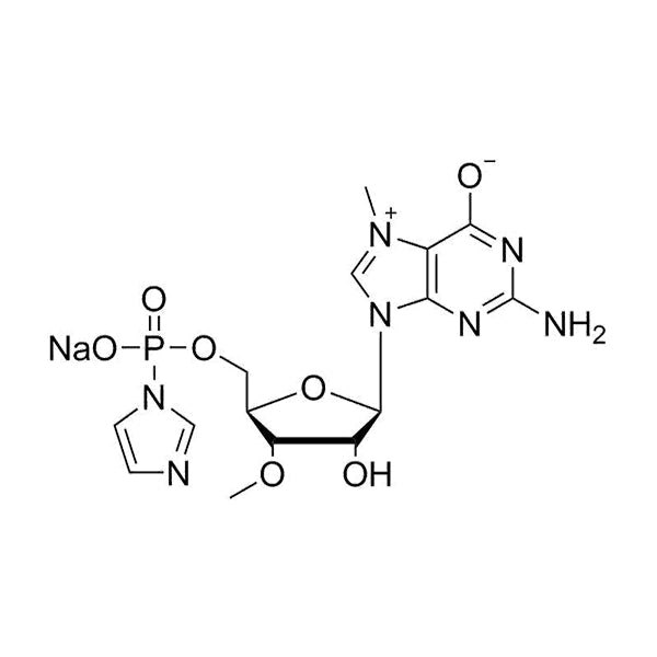 7-Me-3'-OMe-GMP IM