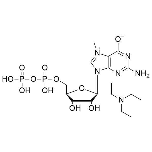 N7-Me-GDP·TEA salt