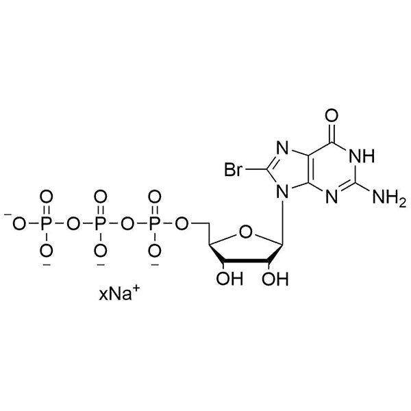 8-Br-GTP, 100 mM Sodium Salt Solution