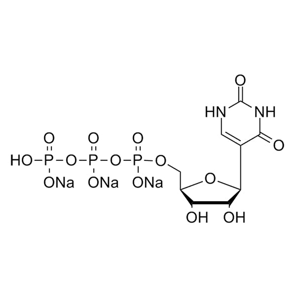 pUTP, 100mM solution