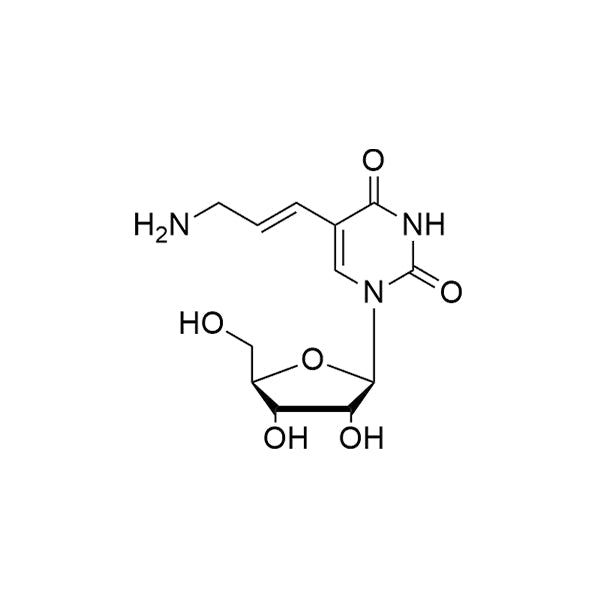 5-amineallyl-Ur