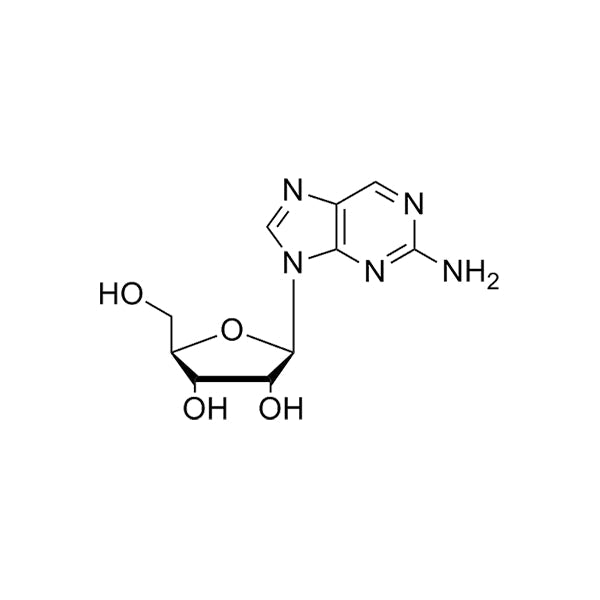 2-NH2-purine-riboside