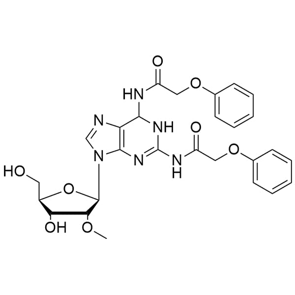 DiPac-2,6-diamino-2'-OMe-purine-ribose